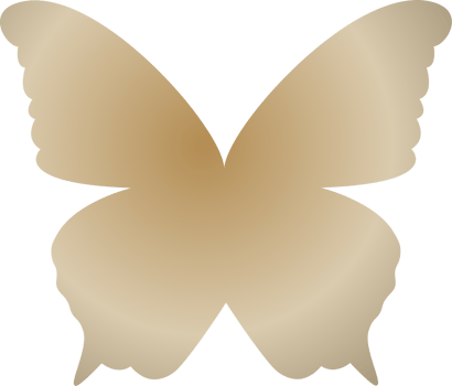 y2k gradient butterfly png