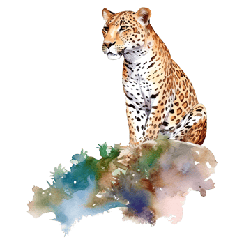 Watercolor giraffe isolated on transparent background. png