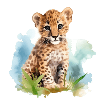 Watercolor leopard isolated on transparent background. png