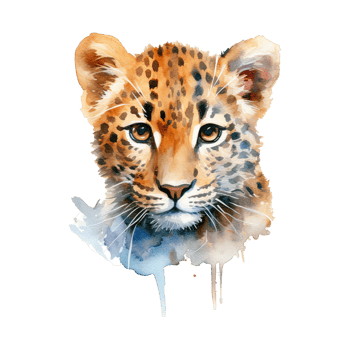 Watercolor leopard isolated on transparent background. png