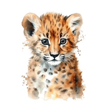 Watercolor leopard isolated on transparent background. png