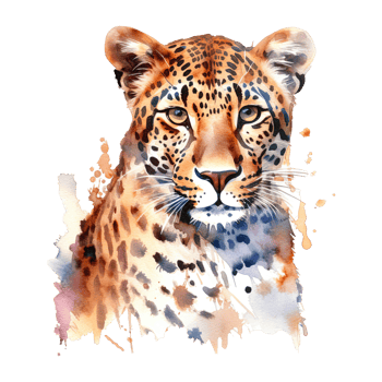 Watercolor leopard isolated on transparent background. png