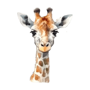 Watercolor giraffe isolated on transparent background. png