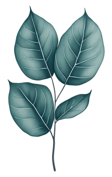 Watercolor green leave. png