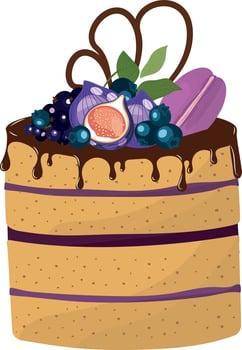 Cake. Biscuit with berry cream and chocolate topping with fruits and berries. High quality vector illustration.