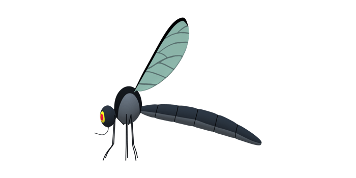 Mosquito isolated on a Transparent Background png
