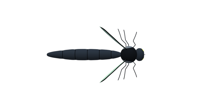 Mosquito isolated on a Transparent Background png