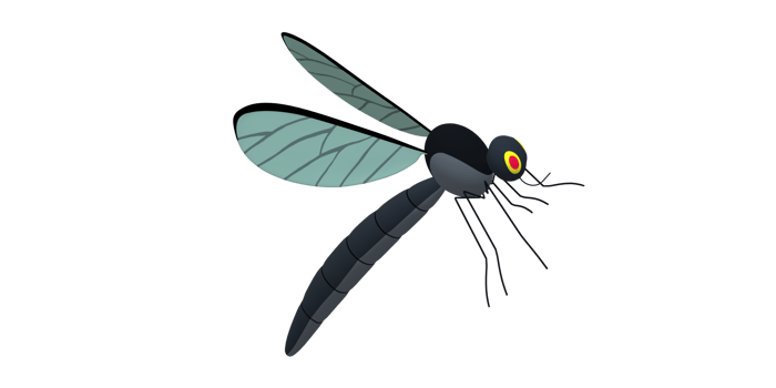 Mosquito isolated on a Transparent Background png