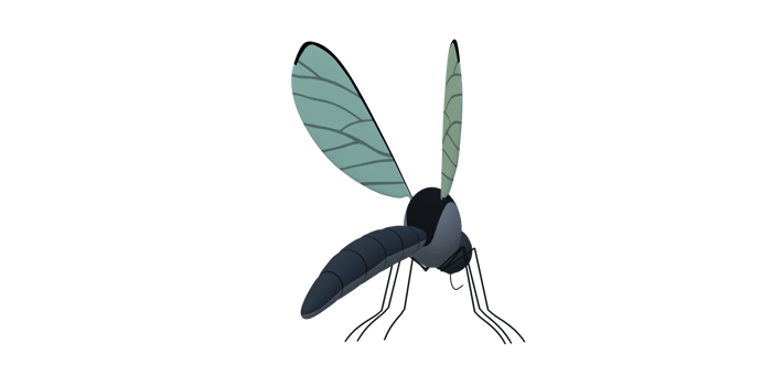 Mosquito isolated on a Transparent Background png