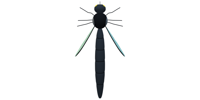 Mosquito isolated on a Transparent Background png