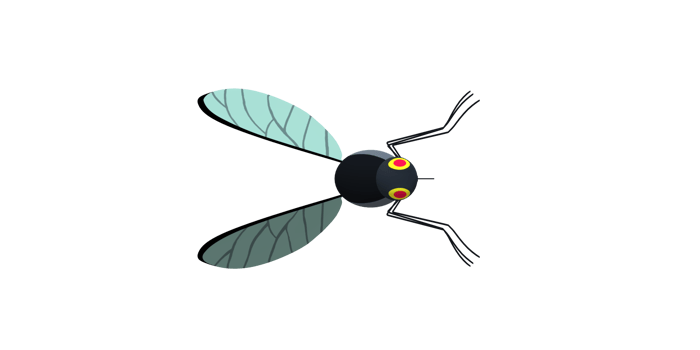 Mosquito isolated on a Transparent Background png