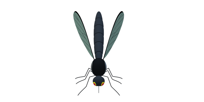 Mosquito isolated on a Transparent Background png