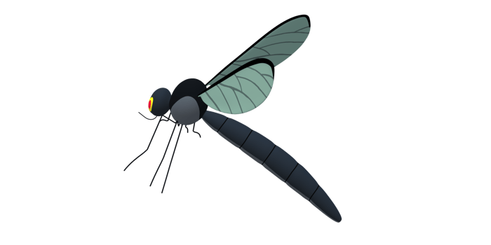 Mosquito isolated on a Transparent Background png