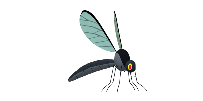 Mosquito isolated on a Transparent Background png
