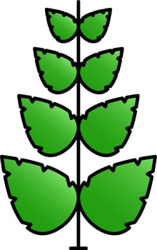 Green Leaf Branch Icon On White Background. vector