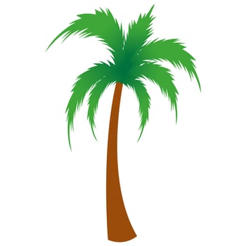 Isolated Palm Tree In Green And Brown Color. vector