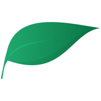 Leaf Element On White Background. vector