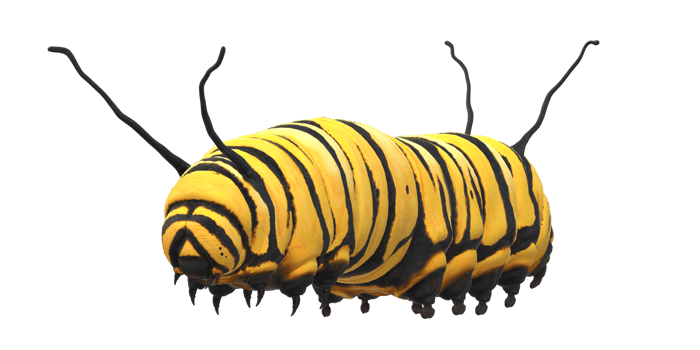 Caterpillar isolated on a Transparent Background png