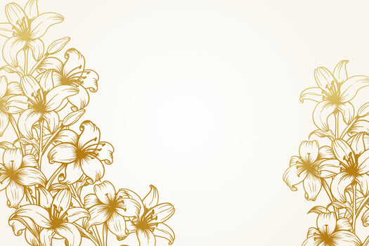 hand drawn lily flower background vector