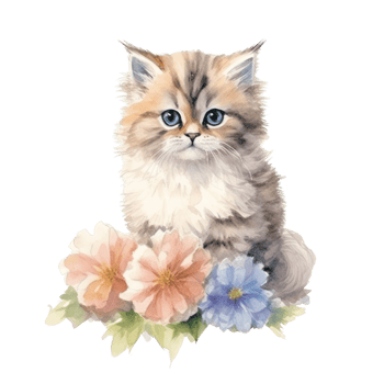 Watercolor painting of Cute Persian Kitten isolated transparent background, Digital art, image file format, , png