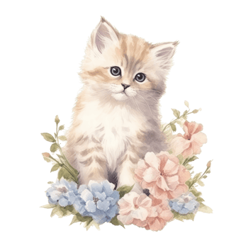 Watercolor painting of Cute Persian Kitten isolated transparent background, Digital art, image file format, , png