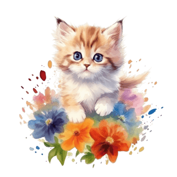 Watercolor painting of Cute Persian Kitten isolated transparent background, Digital art, image file format, , png