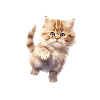 Watercolor painting of Cute Persian Kitten isolated transparent background, Digital art, image file format, , png