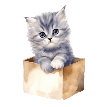 Watercolor painting of Cute Persian Cat isolated transparent background, Digital art, image file format, , png