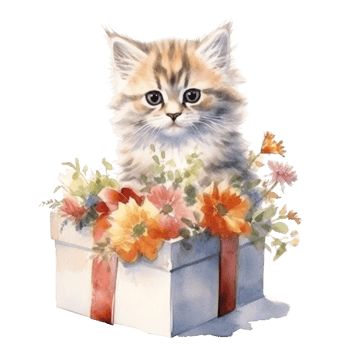 Watercolor painting of Cute Persian Cat isolated transparent background, Digital art, image file format, , png