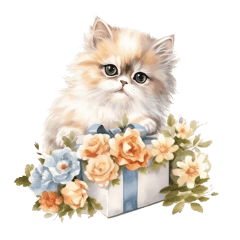 Watercolor painting of Cute Persian Cat isolated transparent background, Digital art, image file format, , png