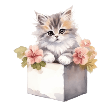 Watercolor painting of Cute Persian Cat isolated transparent background, Digital art, image file format, , png