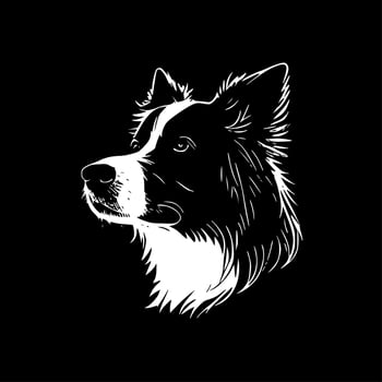 Border Collie, Black and White Vector illustration