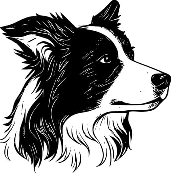 Border Collie - Minimalist and Flat Logo - Vector illustration