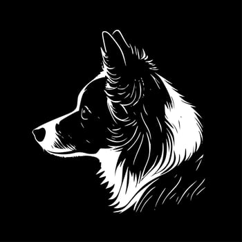 Border Collie - High Quality Vector Logo - Vector illustration ideal for T-shirt graphic