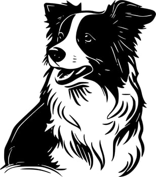 Border Collie, Black and White Vector illustration