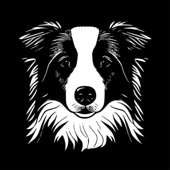 Border Collie - High Quality Vector Logo - Vector illustration ideal for T-shirt graphic