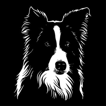 Border Collie - High Quality Vector Logo - Vector illustration ideal for T-shirt graphic