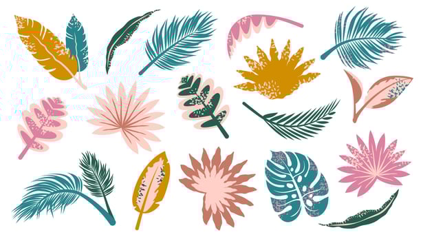 Set of exotic tropical leaves. Bunch of Jungle palm leaf isolated. Modern foliage of rainforest. Modern abstract color nature. Vector flat illustration