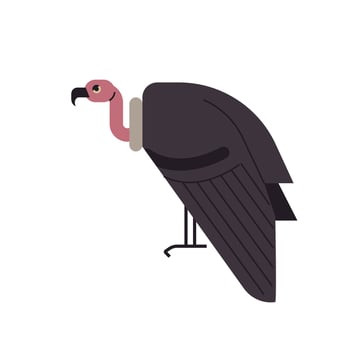animals in the world vector