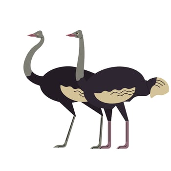 animals in the world vector