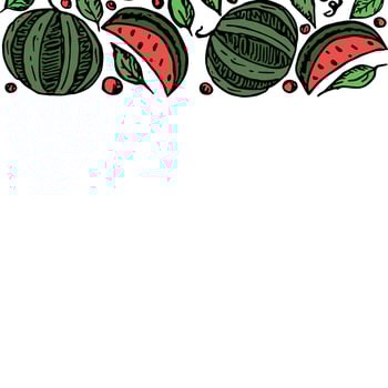 Watermelon background with place for text. Drawn watermelon illustration vector