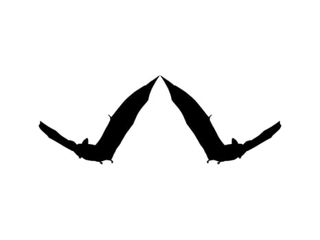 Silhouette of the Pair of Flying Fox or Bat for Art Illustration, Icon, Symbol, Pictogram, Logo, Website, or Graphic Design Element. Vector Illustration