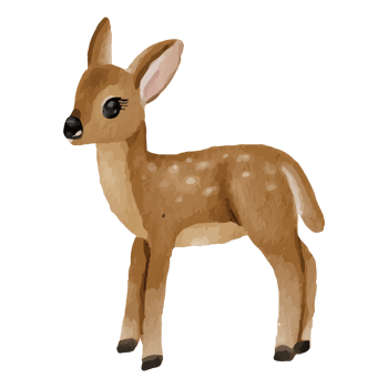Baby Deer Clip art Element Transparent Background png