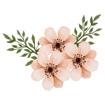 Flower pink rose, floral bouquet Clip art Element Transparent Background png