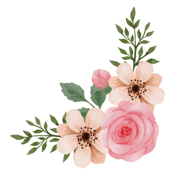Flower pink rose, floral bouquet Clip art Element Transparent Background png
