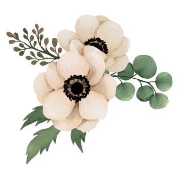 Flower pink rose, floral bouquet Clip art Element Transparent Background png