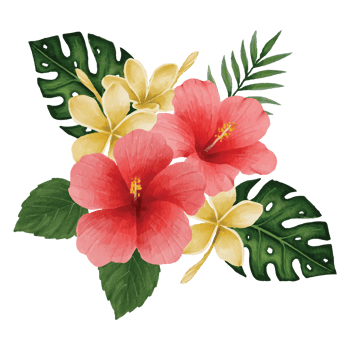 Botanical hibiscus Flower, floral bouquet Clip art Element Transparent Background png
