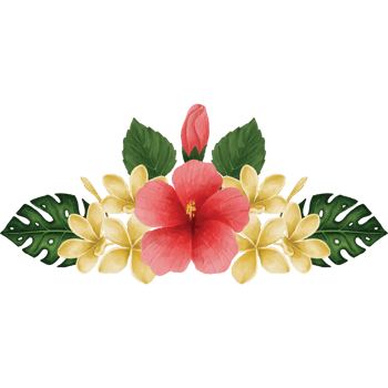Botanical hibiscus Flower, floral bouquet Clip art Element Transparent Background png