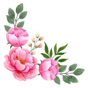 Beautiful Flower, floral bouquet Clip art Element Transparent Background png