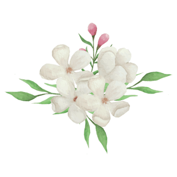 Flower bouquet, floral Clip art Element Transparent Background png